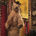 bear with a hat